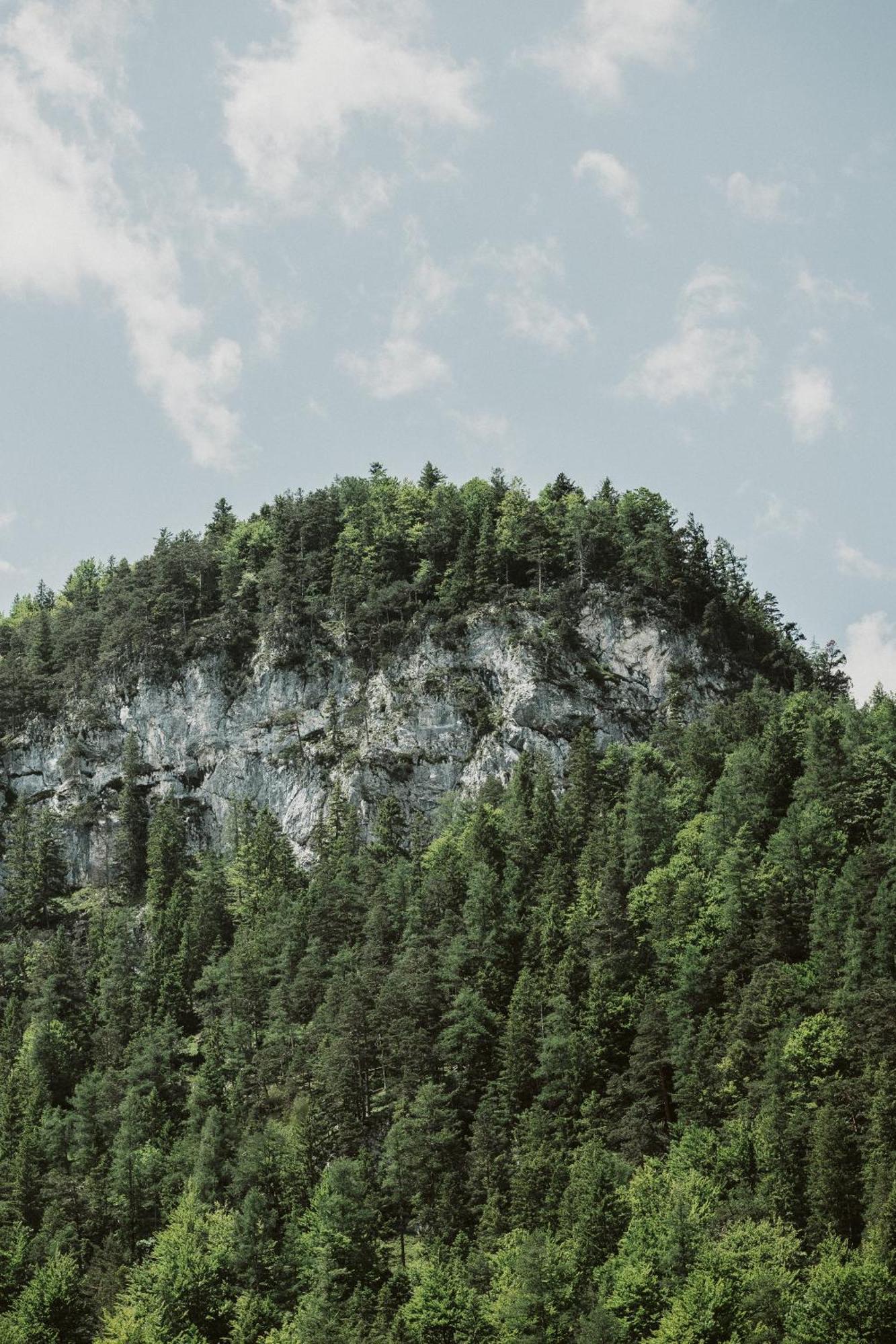 Appartamento Lebe' Scharnitz Esterno foto